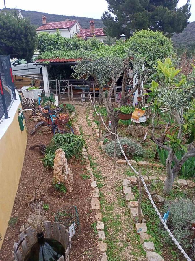 Apartment Agava Miholascica Dış mekan fotoğraf