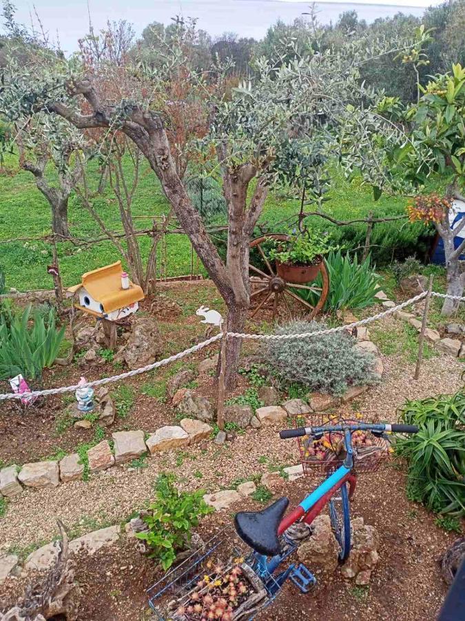Apartment Agava Miholascica Dış mekan fotoğraf