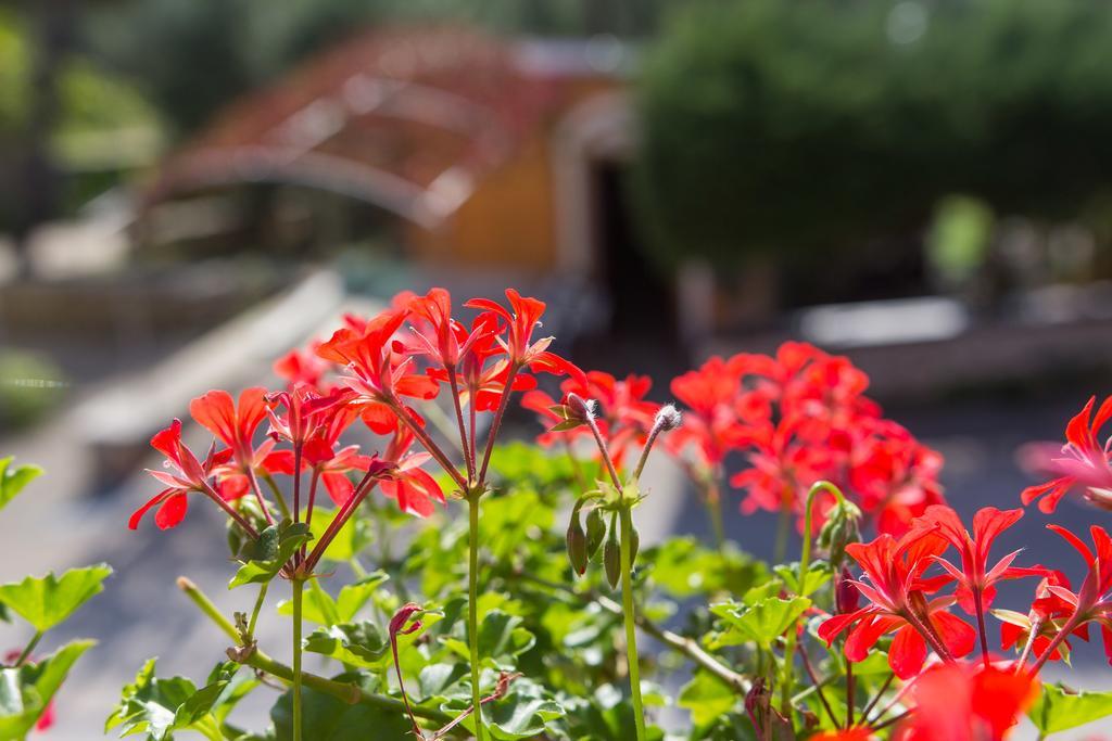 Apartment Agava Miholascica Dış mekan fotoğraf